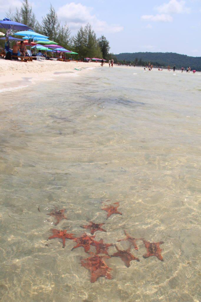Starfish Beach Phu Quoc