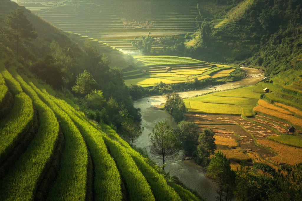 best time to visit vietnam